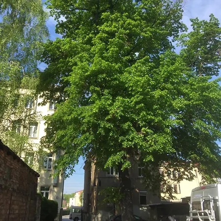 Stadtvilla Oscar 1 Og - Stilvoll Sanierte Altbauwohnung In Denkmalgeschuetzter Stadtvilla Nahe Elbradweg Drezda