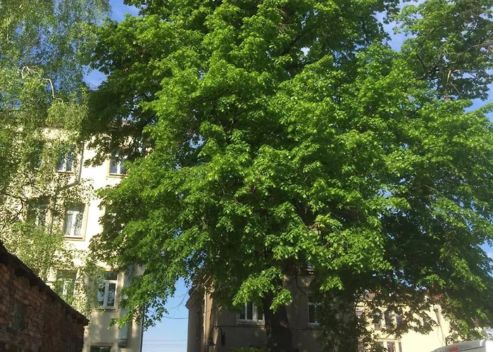 Stadtvilla Oscar 1 Og - Stilvoll Sanierte Altbauwohnung In Denkmalgeschuetzter Stadtvilla Nahe Elbradweg 德累斯顿