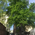 Stadtvilla Oscar 1 Og - Stilvoll Sanierte Altbauwohnung In Denkmalgeschuetzter Stadtvilla Nahe Elbradweg Дрезден
